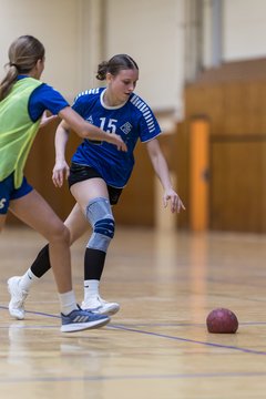 Bild 203 - wBJ TSV Ellerau - HSG Stoertal Hummeln : Ergebnis: 26:19